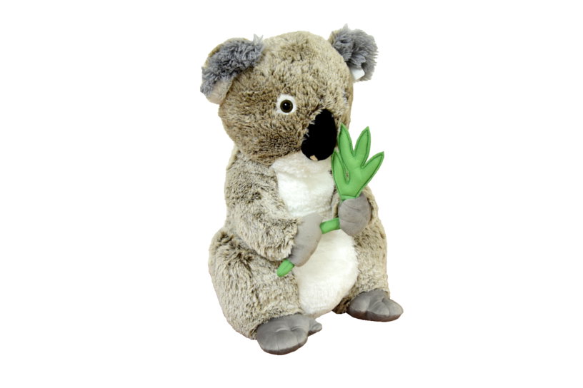 (Mis 7,5) KOALA peluche 55cm….x6